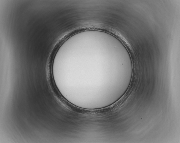 X0000112350629200908131015