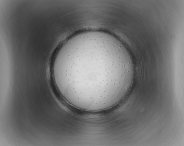 X0000112350638200908131015