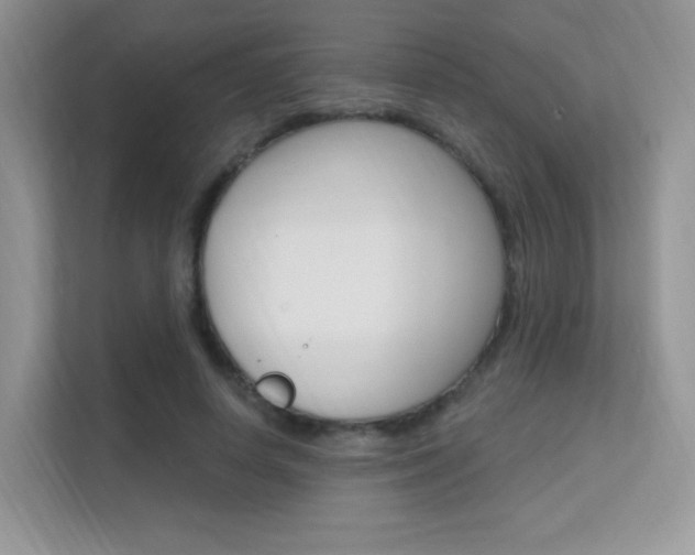 X0000112350642200908131015