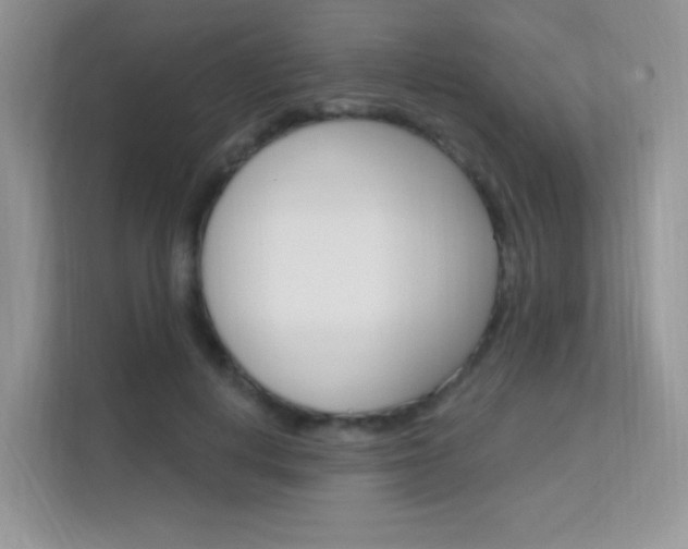 X0000112350648200908131015