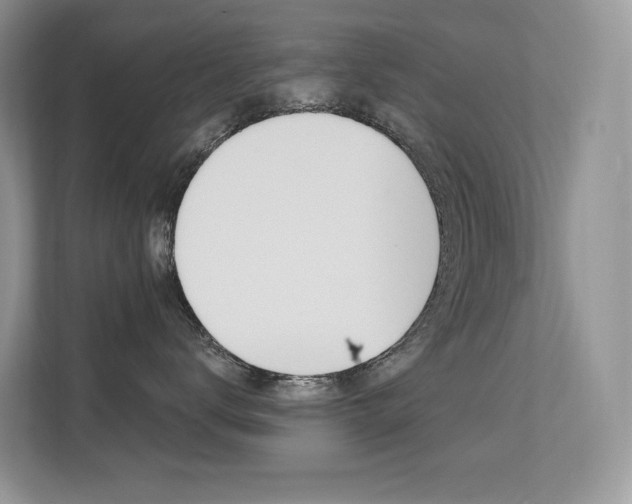 X0000112350672200908131015