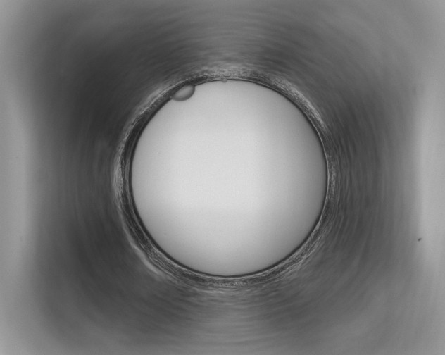 X0000112350674200908131015