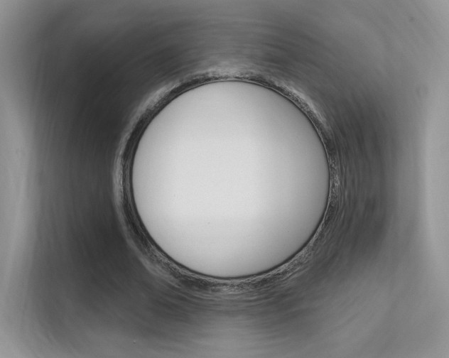 X0000112350678200908131015