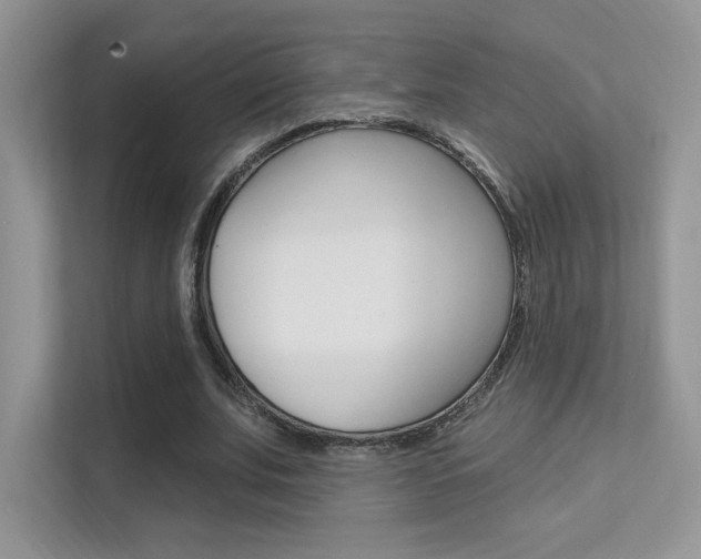 X0000112350679200908131015