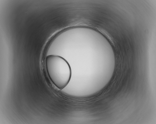 X0000112350680200908131015