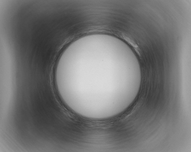 X0000112350681200908131014