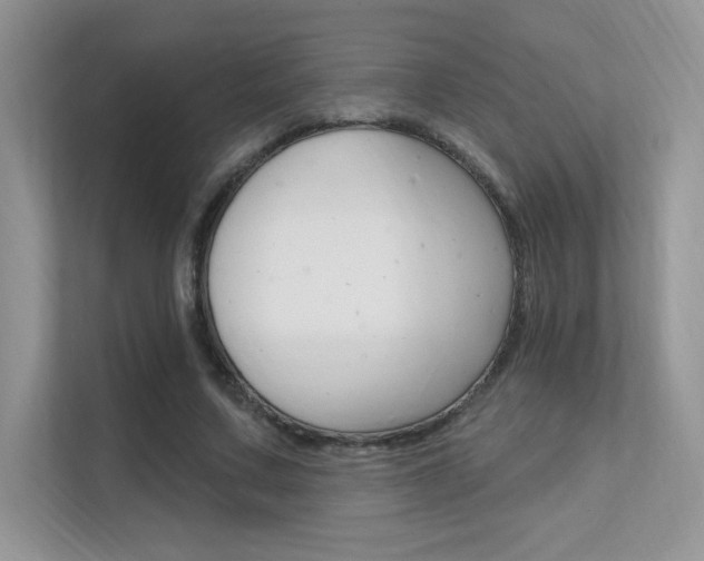 X0000112350683200908131014