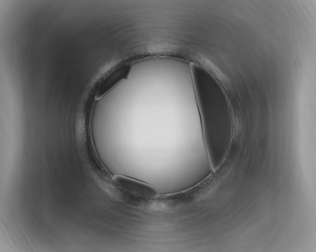 X0000112350684200908131014