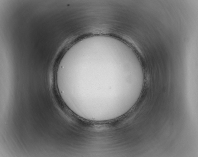 X0000112350686200908131014