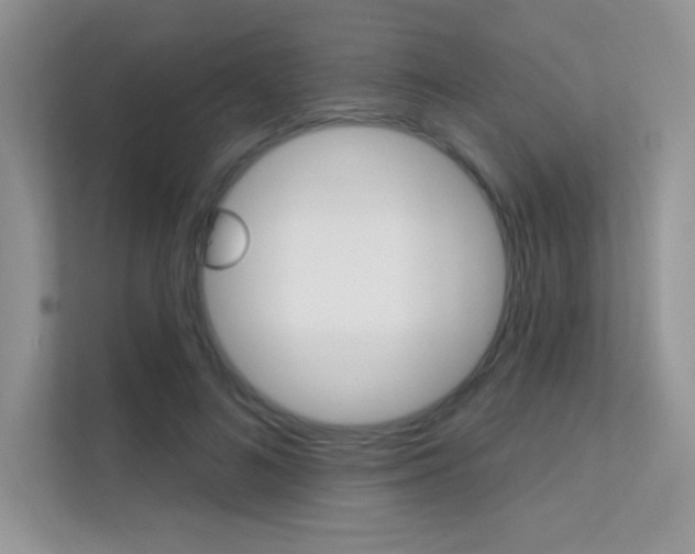 X0000112350692200908131014