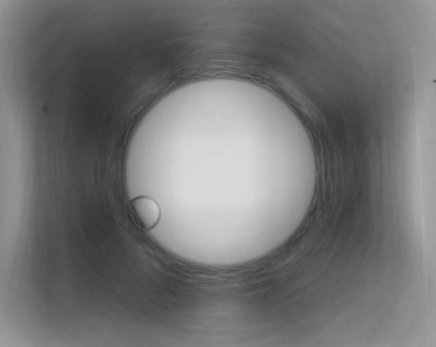X0000112350696200908131014