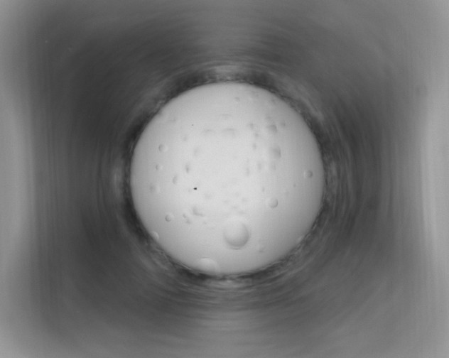 X0000112350698200908131014