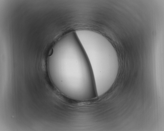 X0000112350700200908131014