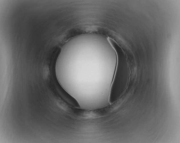 X0000112350704200908131014