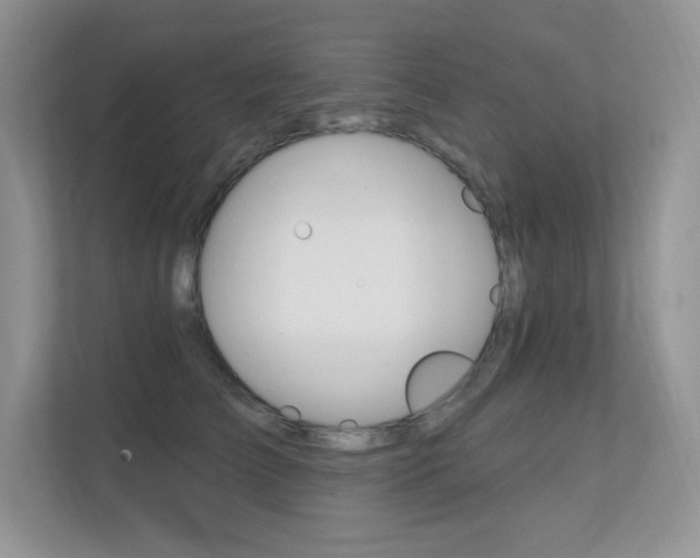 X0000112350709200908131014
