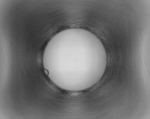 X0000112350710200908131014
