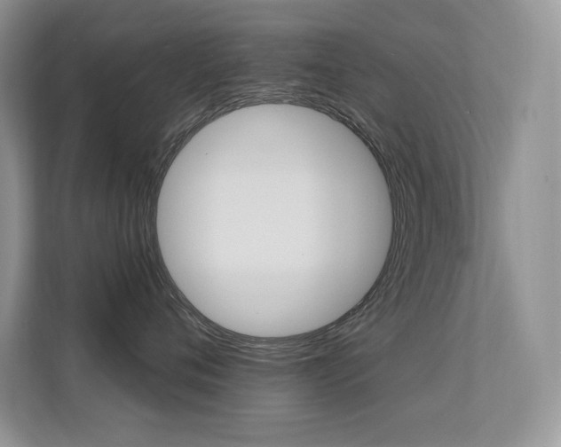 X0000112350720200908131014