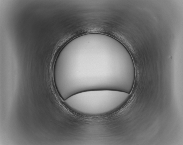X0000112350721200908131013