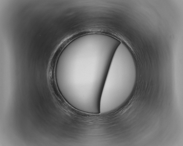X0000112350723200908131013
