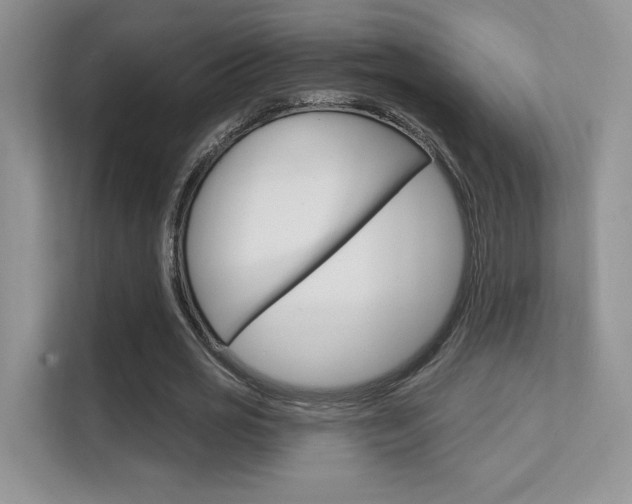 X0000112350725200908131013