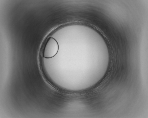 X0000112350726200908131013