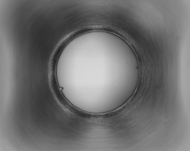 X0000112350728200908131013