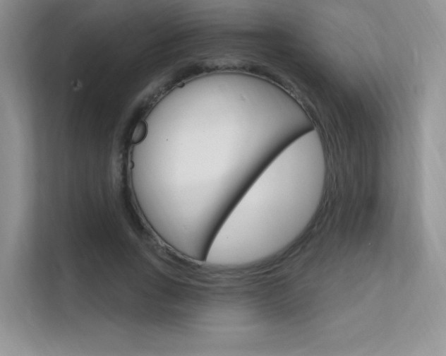 X0000112350735200908131014