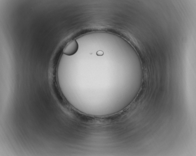 X0000112350736200908131014