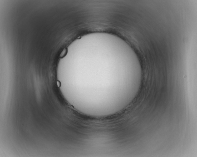 X0000112350743200908131014