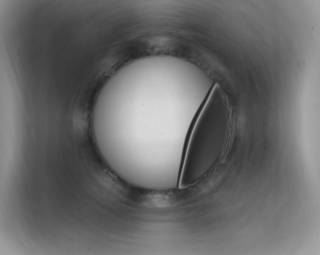 X0000112350756200908131014