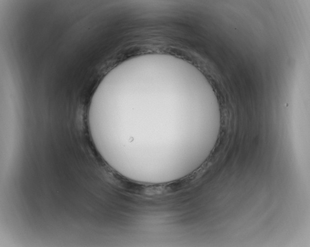 X0000112350757200908131014