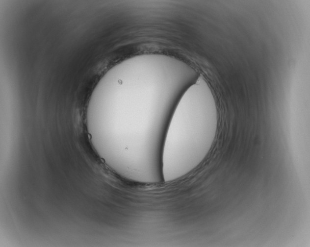 X0000112350759200908131014