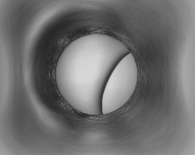 X0000112350763200908131014