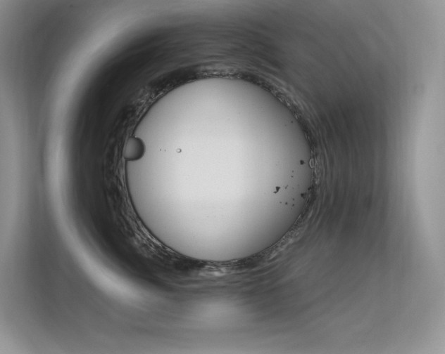 X0000112350764200908131014