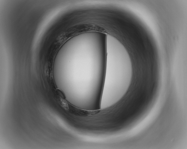 X0000112350766200908131014