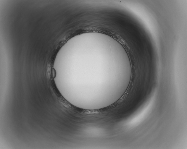 X0000112350767200908131014