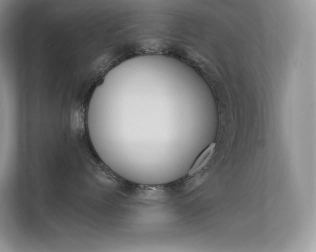 X0000112350768200908131014