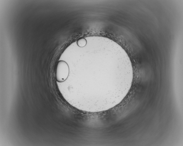 X0000112350769200908131013