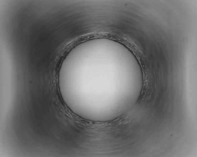 X0000112350773200908131013