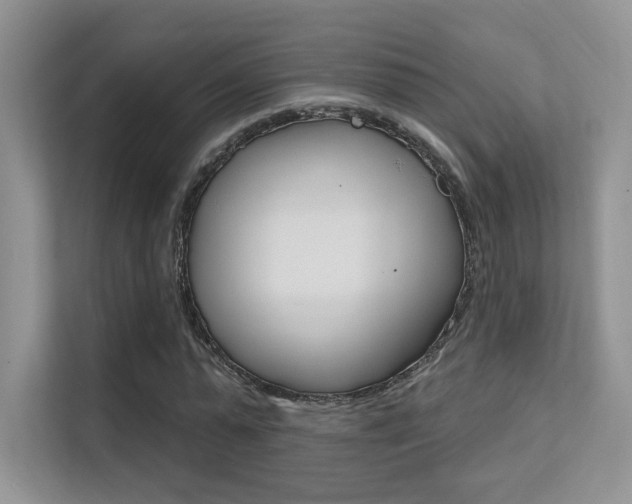 X0000112350775200908131013