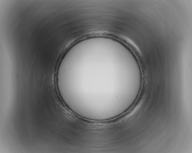 X0000112350777200908131013