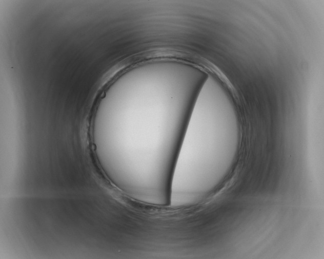 X0000112350786200908131013