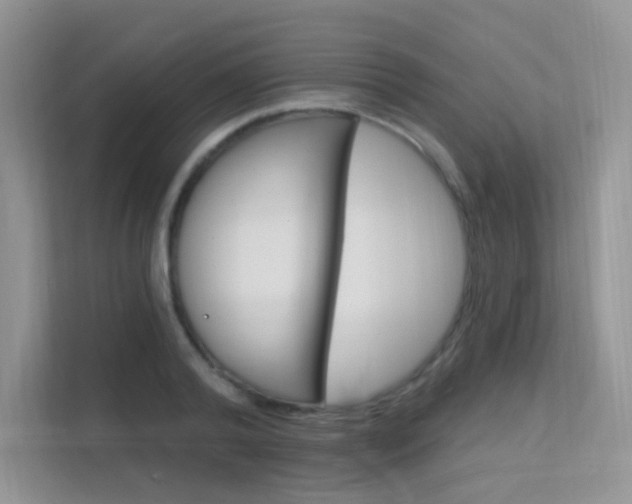X0000112350792200908131013