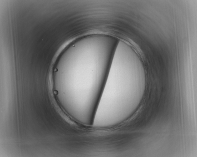 X0000112350796200908131013
