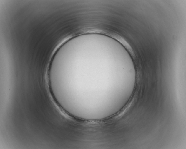 X0000112350806200908131013