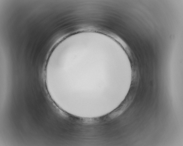 X0000112350807200908131013
