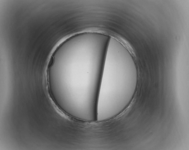 X0000112350808200908131013