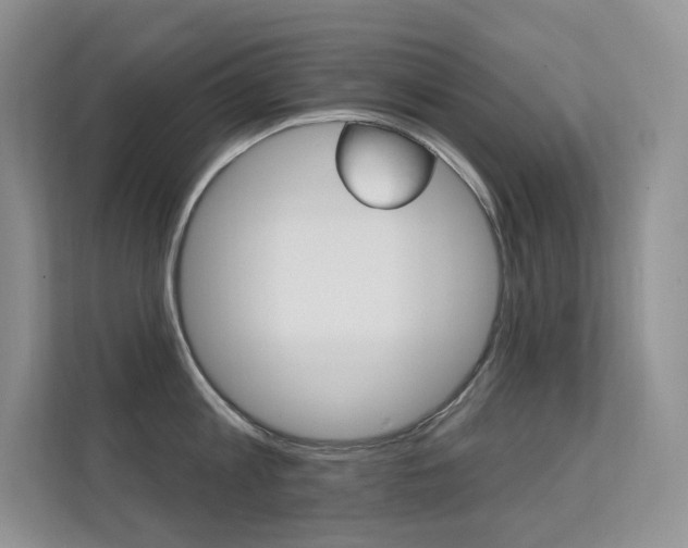 X0000112350813200908131013