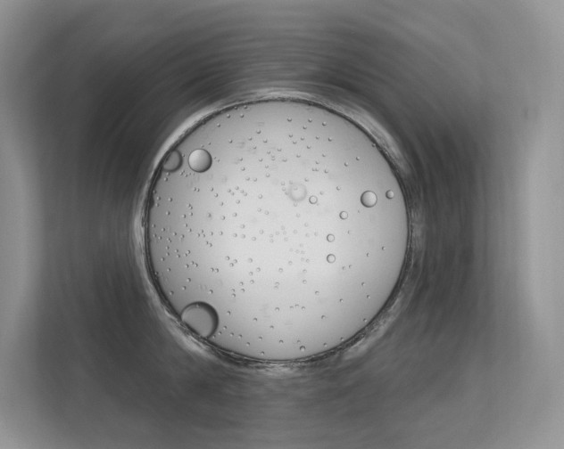X0000112350814200908131013