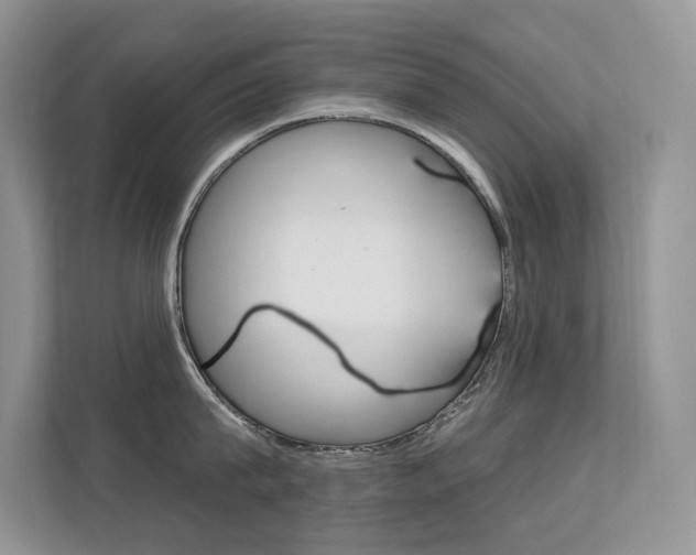 X0000112350815200908131013